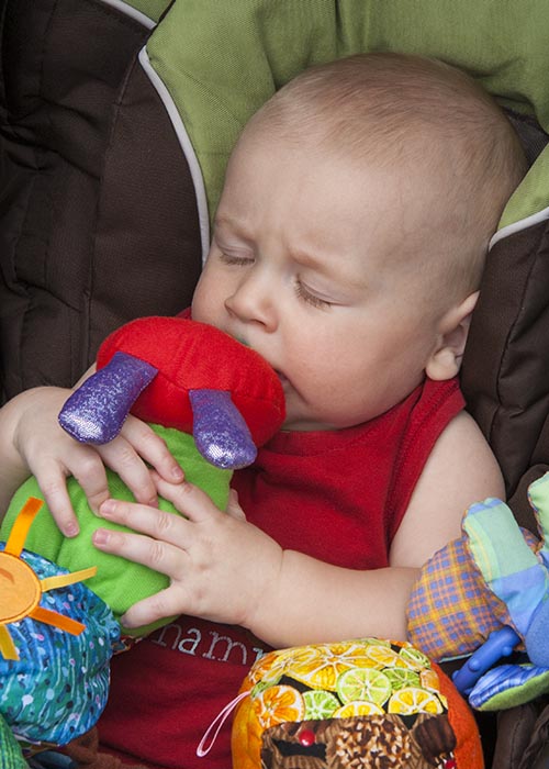 A Kiss for the Caterpillar